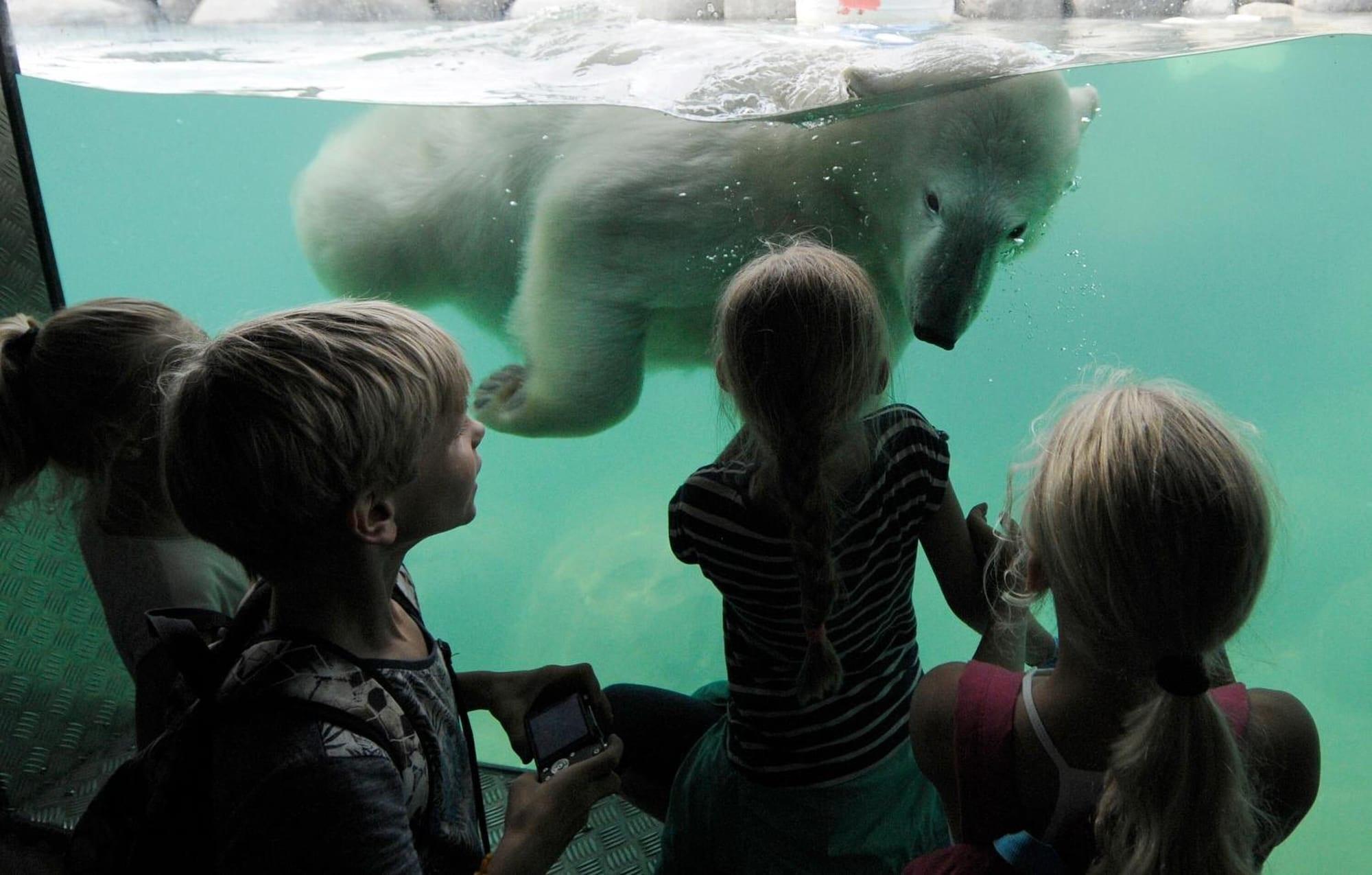Fletcher Hotel-Restaurant Byzoo Emmen Luaran gambar